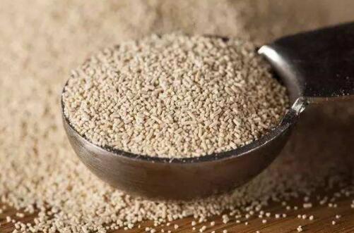 精酿啤酒原料 精酿啤酒原料