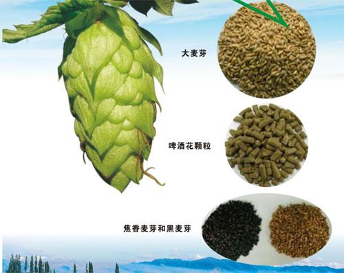 啤酒原料 啤酒原料