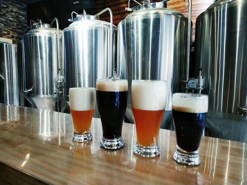 果酒精酿设备 果酒精酿设备